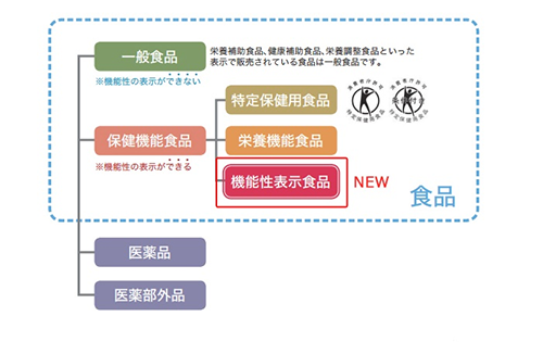 特定保健用食品（トクホ）と機能性表示食品の違いは？