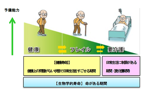 フレイルの概念