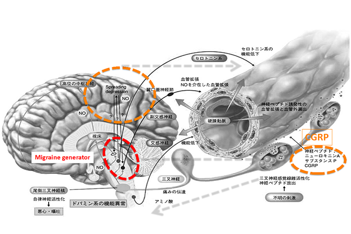 衆瞽象を撫づ