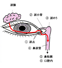 点眼薬について 医療コラム 新百合ヶ丘総合病院