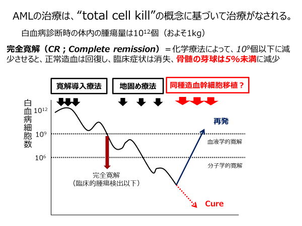 AMLの治療は「Total cell kill」の概念に基づいて治療がなされる