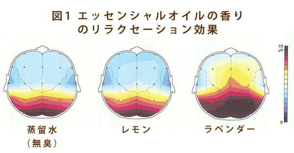 すぐに役立つ睡眠法 精神科 心療内科 新百合ヶ丘総合病院