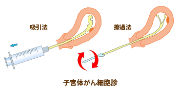 人体骨図