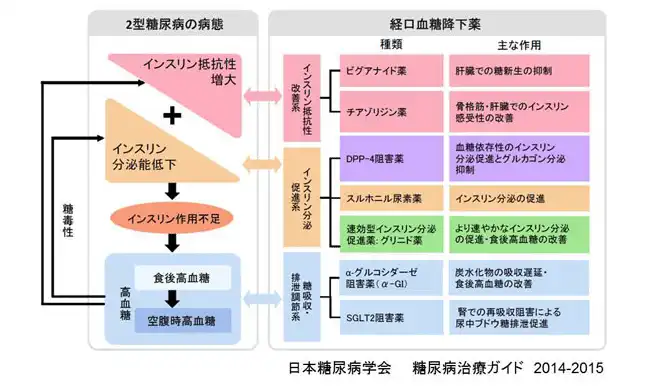 病態にあわせた経口血糖降下薬の選択
