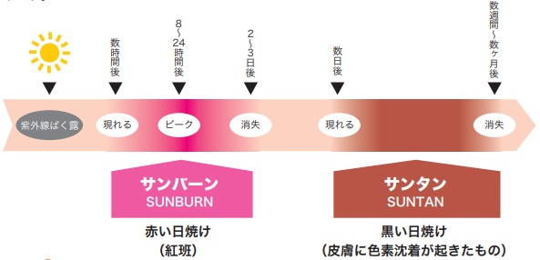 紫外線(UV：Ultra Violet)