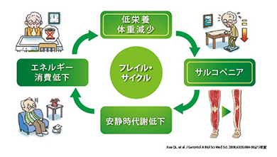 フレイルの判定基準