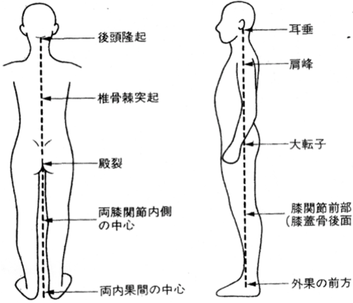 実際の立っている姿勢でいうとどんな感じ