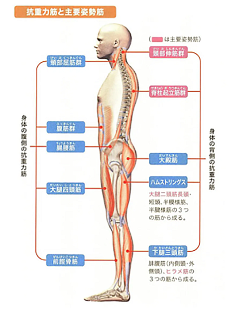 簡単な姿勢チェックをしてみましょう