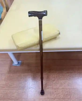 T字杖イメージ