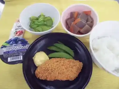 たんぱく質コントロール食