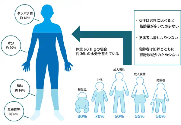 体の水分量の目安イメージ