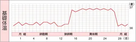 月経周期と月経量