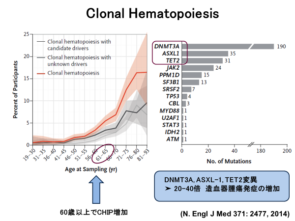 CHIP (Clonal Hematopoiesis Indetermined Signature)