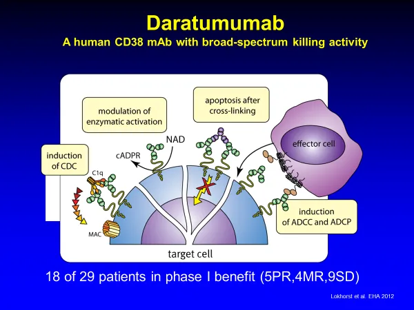 抗CD38抗体であるダラツズマブ
