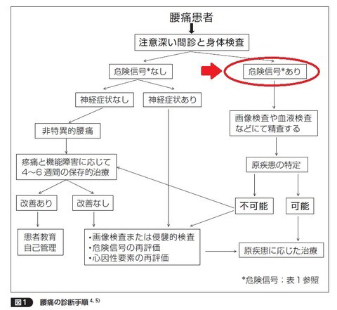 腰痛の診断手順