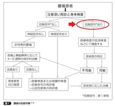 腰痛の診断手順