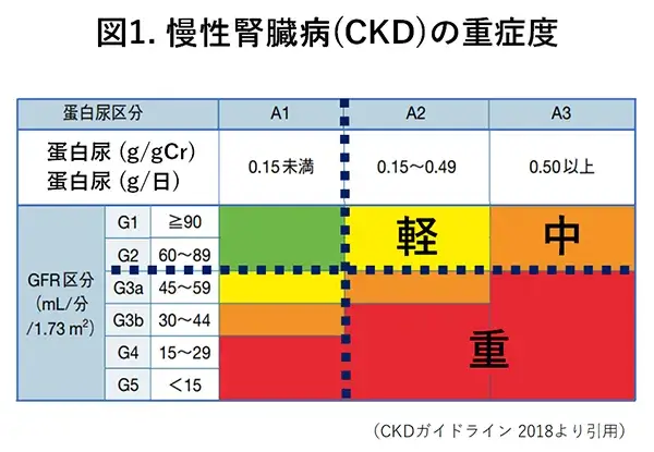 慢性腎臓病（CKD）の重症度