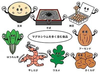 マグマグネシウム摂取を増やすための食材イメージ