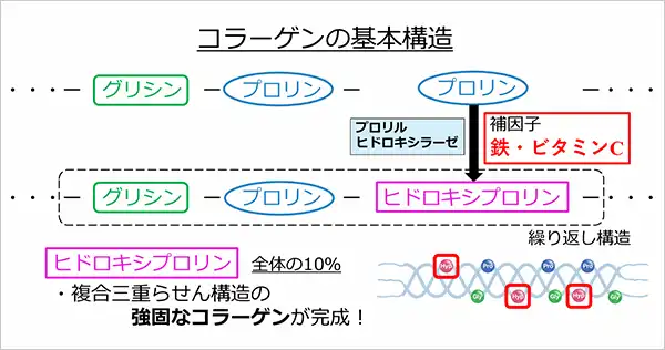 図1