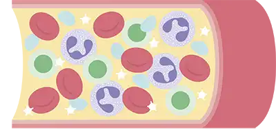 血圧測定イメージ