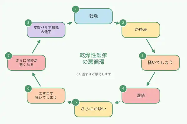 乾燥性湿疹の悪循環。乾燥、かゆみ、掻いてしまう、湿疹、さらにかゆい、ますます掻いてしまう、さらに湿疹が悪くなる、皮膚バリア機能の低下、の順にくり返す図