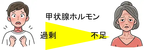 甲状腺炎のイメージ