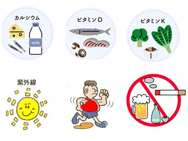 強い骨を作るイメージ