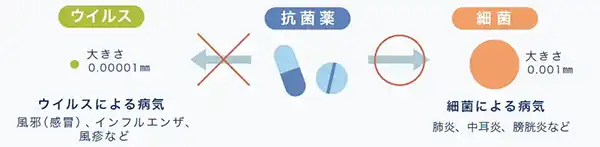 風邪に抗菌薬は効きません。