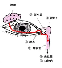 点眼薬について