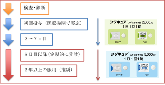 投与スケジュールについて