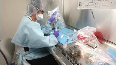 薬剤師の仕事