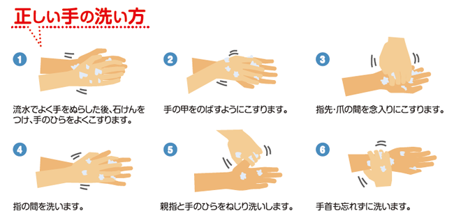 正しい手洗い