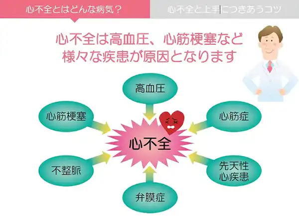 心不全の原因と経過