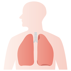 呼吸器病の予防