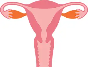 子宮の癌（がん）にも腹腔鏡手術