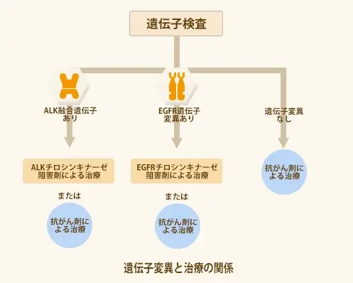 遺伝子変異と治療の関係