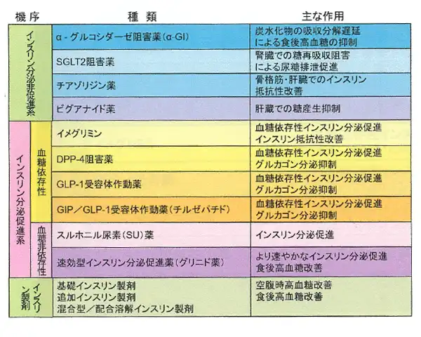 薬物療法イメージ