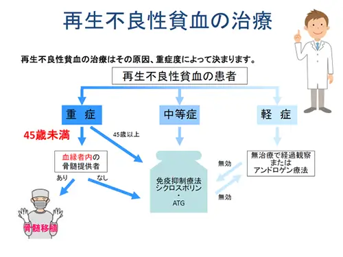 再生不良性貧血の治療