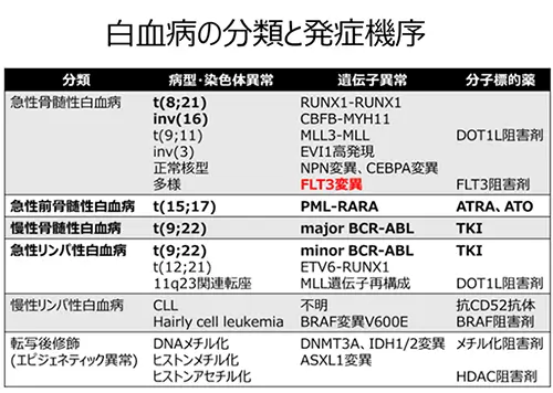 白血病の分類と発症機序