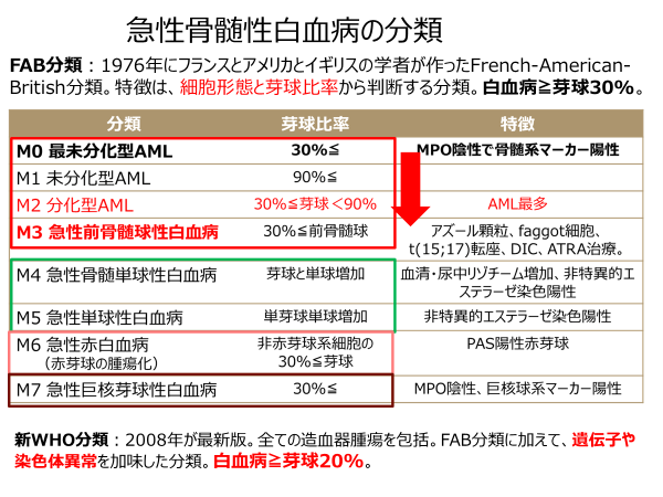 急性骨髄白血病の分類