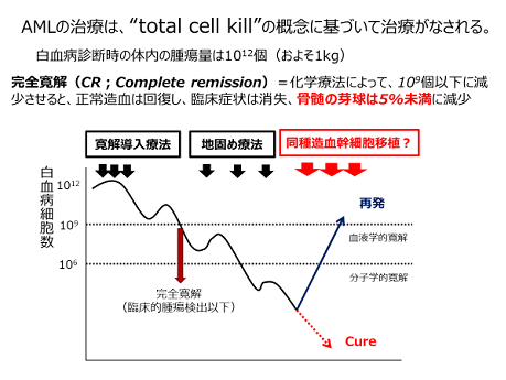 AMLの治療は「Total cell kill」の概念に基づいて治療がなされる