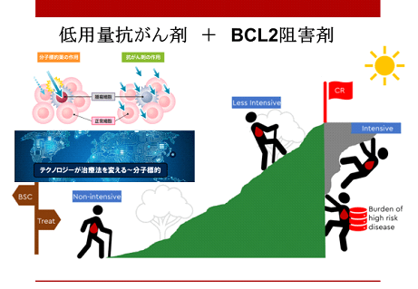 BCL-2阻害剤を併用する