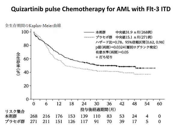 急性骨髄性白血病の分子標的薬 FLT-3阻害剤