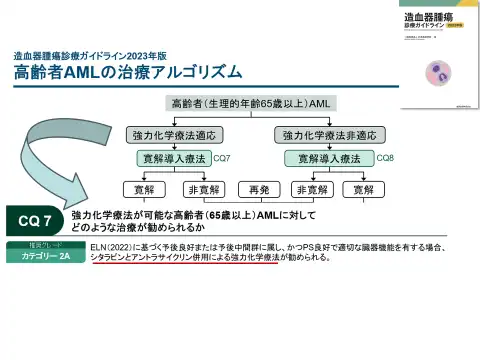 高齢者AMLの治療アルゴリズム