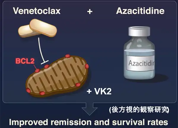 ベネトクラクス＋アザシチジン療法