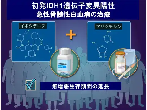 アザシチジン＋IDH1阻害剤（イボシデニブ）の併用療法