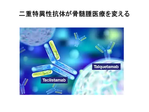 二重特異性抗体が骨髄腫医療を変える