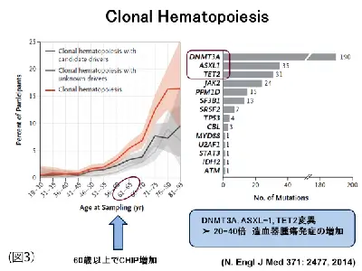 白血病は遺伝子変異の蓄積でおこる