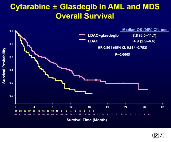 急性骨髄性白血病症例の全生存期間