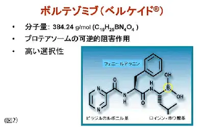 プロテアゾーム阻害剤（ボルテゾミブ）